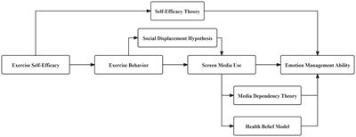 The impact of exercise self-efficacy on college students’ emotion management ability: an analysis of the mediating effects based on exercise behavior and screen media use